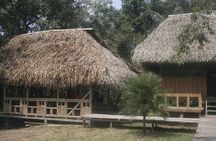 Jungle Tours | Indichuris| Chocolate Factory | Canoe