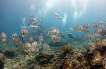 Easy Fun Scuba Dive in El Nido