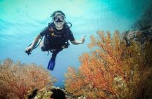 Easy Fun Scuba Dive in El Nido