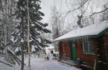 Dog Sledding
