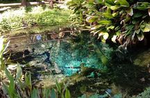 Hot! Doisuthep Temple+Wat Palad+Sticky waterfall