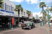 Napier Shore Excursion: City Sights and Hawke's Bay Tour