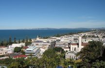 Napier Shore Excursion: City Sights and Hawke's Bay Tour