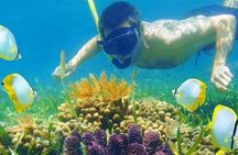 Half Day Tour Snorkeling in Nha Trang Bay Included Lunch
