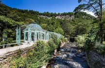 LEGENDARY PLACES OF GEORGIA: VARDZIA, BORJOMI, RABAT.( Group Tour)