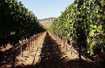 6-Hour Luxury Napa Wine Tasting Tour with Route Planning