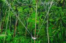 Bali swing, Waterfall, Tanah lot Tour