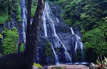Bali swing, Waterfall, Tanah lot Tour