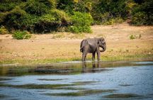Jeep Safari to Yala National Park With an Expert Of Wild Life