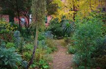 Photography Tour walking the back streets of London's West End (3 hours)