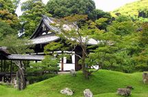 Carefree Private Exploration of Fushimi Inari, Gion, Kiyomizudera, and More