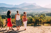 Cape Town Wine Tasting