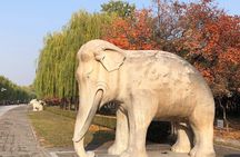 All Inclusive Private Tour: Juyongguan Greatwall, Sacred Road, MingTombs 
