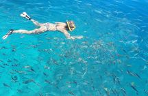 St Anne Marine Park & Moyenne Island, Creole Lunch (Private Boat)