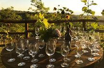Wine and food tasting