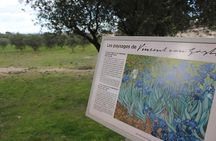 In the footsteps of Van Gogh in Provence from Avignon