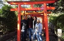 Tokyo Private Tour to Learn History and Shinto