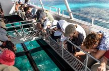 Lady Musgrave Day Trip from Bundaberg Including Snorkeling
