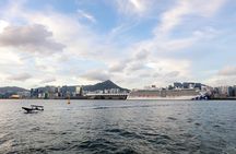 Private Shore Excursion: Customized 4-Hour Hong Kong City Tour