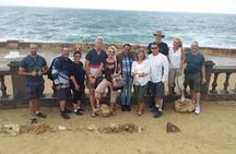 01 Day Tour to Alexandria from Cairo