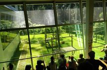 2D1N Sandakan Private Tour with Kinabatangan River Cruise