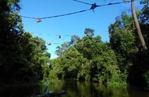 2D1N Sandakan Private Tour with Kinabatangan River Cruise