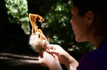 Introduction to Wilderness Survival Clinic in Santa Cruz