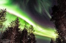 Auroras - Northern Lights Tours by Aurora Experts - Rovaniemi