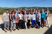 Your Cava, Your Story – Wine workshop experience at Artcava