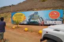 Regular ride Cabo Ledo!