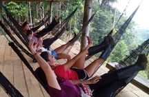 Jungle Tours | Indichuris| Chocolate Factory | Canoe