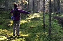 Hiking tour in Nuuksio National Park with meal and snacks