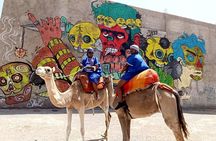 Agafay Desert Camel & Quad Bike Adventure