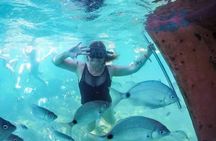 BEST BEACHES - Arraial do Cabo - Day Tour (Boat Tour + Buffet)