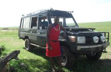 Nairobi National Park Half Day Safari. 