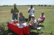 Nairobi National Park Half Day Safari. 