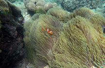 Andre East Bali Blue Lagoon Snorkeling Ticket And Transfer