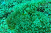 Andre East Bali Blue Lagoon Snorkeling Ticket And Transfer