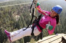 Fins Course Scenic Zipline Tour