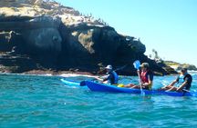 La Jolla Sea Caves Kayak Tour For Two (Tandem Kayak) 