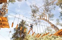 Catalina Island Aerial Adventure