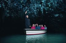 Private tour from Auckland - Waitomo Glowworm Caves, Zealong Tea & Kiwi Bird