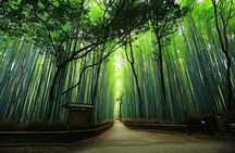 Kyoto Arashiyama & Sagano Bamboo Private Tour with Government-Licensed Guide