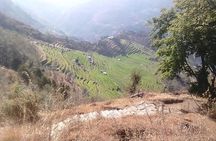 Mulde & Khopra Danda Trek