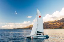 Morning Whale Watch: Lāhainā Harbor