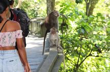 Private Full Day Tour to Ubud Highlights with Giant Swing 