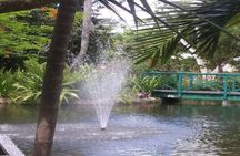 Freeport Shore Excursion: Garden of the Groves and City Tour