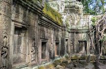 Explore Angkor Wat and Ta Phrom in depth