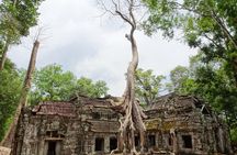 Explore Angkor Wat and Ta Phrom in depth