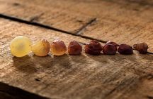 Tokaj wineregion home to the worldfamous aszu, on a private tour!